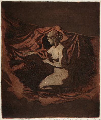 Bagliore delle braci da Theodore Roussel