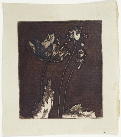 Ultimi papaveri da Theodore Roussel