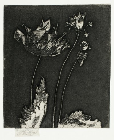 Ultimi papaveri da Theodore Roussel
