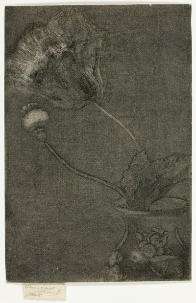 Papavero in un vaso da Theodore Roussel