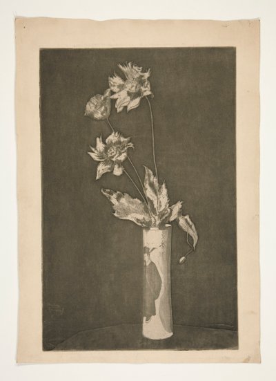 Prova per La Cina (versione in bianco e nero) da Theodore Roussel