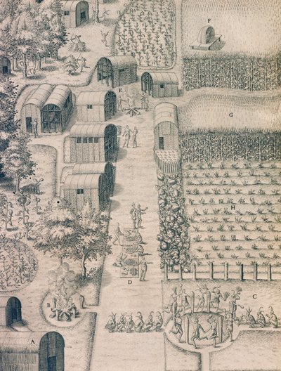 Un villaggio indiano nativo circondato da terreni coltivati in Virginia da Theodore de Bry