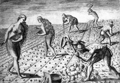 Agricoltura tra i nativi del Sud America - in “Admirante Narratio Americae”, di Théodore de Bry da Theodore de Bry