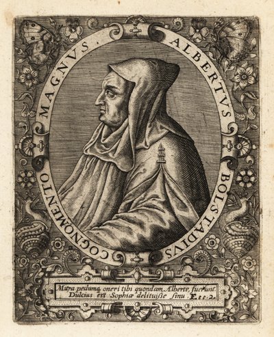 Alberto Magno, vescovo cattolico tedesco da Theodore de Bry