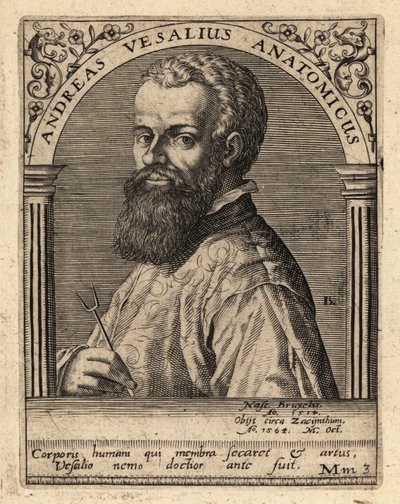 Andreas Vesalius, medico e anatomista fiammingo da Theodore de Bry