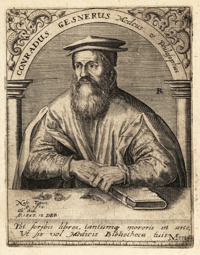 Conrad Gessner, medico svizzero da Theodore de Bry