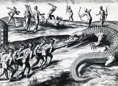 Caccia al coccodrillo in Florida, da dipinto di Jacques le Moyne de Morgues, di Theodor de Bry (incisione) da Theodore de Bry