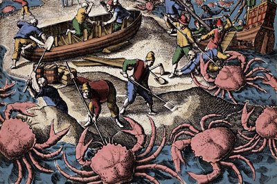 Navigatori europei che combattono un grande granchio. Incisione da "Petites voyages aux Indes Orientales" di Theodore de Bry da Theodore de Bry