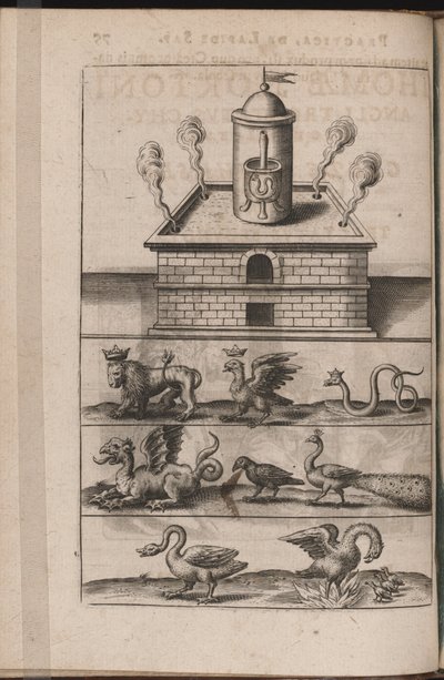 Illustrazione per Tripvs avrevs, hoc est, Tres tractatvs chymici selectissimi.. da Theodore de Bry
