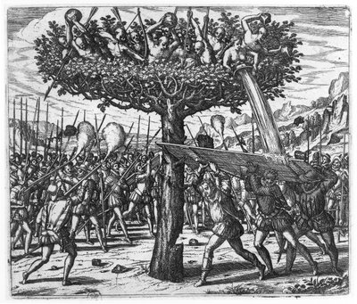 Indiani su un Albero che Lanciano Proiettili agli Spagnoli da Theodore de Bry