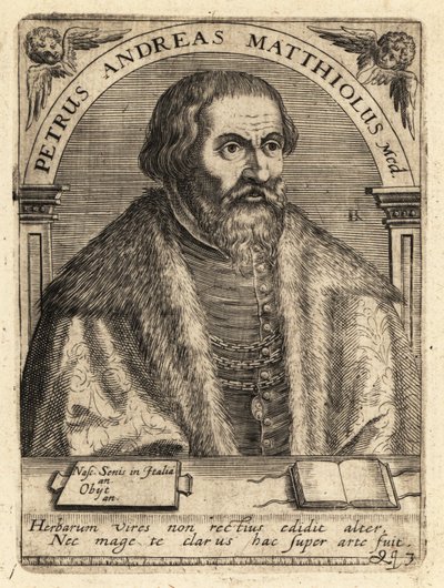 Pietro Andrea Gregorio Mattioli, medico italiano da Theodore de Bry