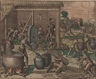 Gli schiavi lavorano la canna da zucchero e producono zucchero, 1595 da Theodore de Bry