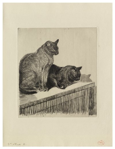 Due gatti su un mobile da Théophile Alexandre Steinlen