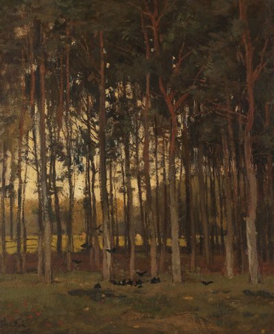 Veduta nel bosco da Theophile de Bock
