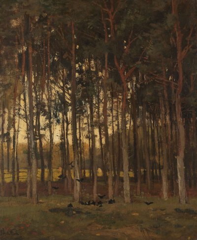  da Theophile de Bock