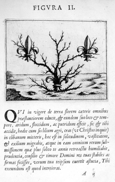 Figura di profezia II da Prognosticatio Eximii Doctoris Paracelsi, 1536 da Theophrastus Bombastus von Hohenheim Paracelsus
