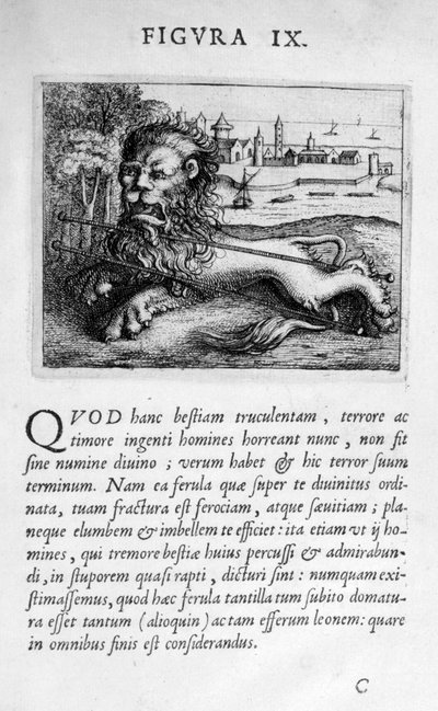 Figura profetica IX da Prognosticatio Eximii Doctoris Paracelsi da Theophrastus Bombastus von Hohenheim Paracelsus