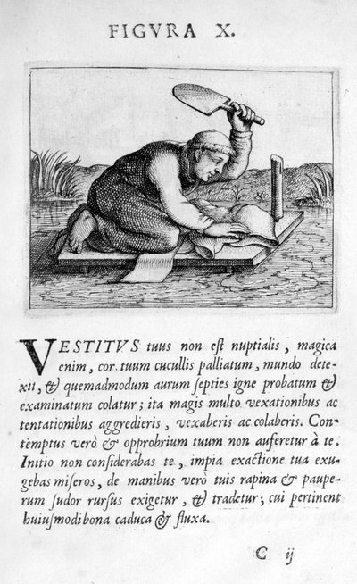 Figura profetica X da Prognosticatio Eximii Doctoris Paracelsi da Theophrastus Bombastus von Hohenheim Paracelsus