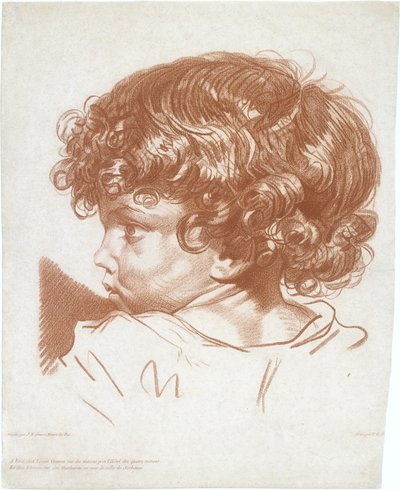 Studio, testa di un ragazzo da Therèse Éléonore Lingée
