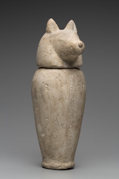 Vaso canopo con testa di sciacallo (calcare) da Third Intermediate Period Egyptian
