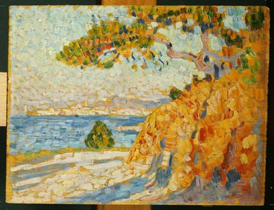 Campagna a mezzogiorno, 1895 da Théo van Rysselberghe