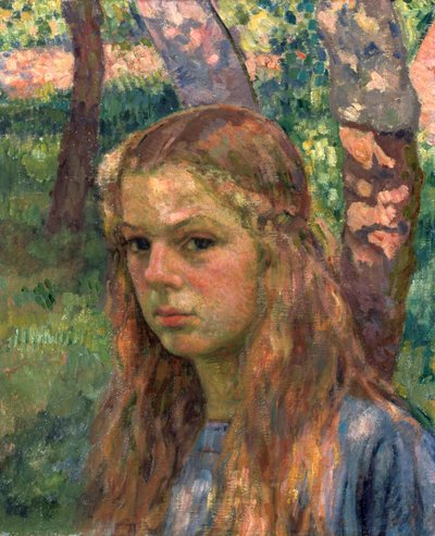 Ritratto di una ragazza, 20° secolo da Théo van Rysselberghe