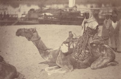 [ Un uomo nordafricano su un cammello sulla riva del Nilo]. da Théodule Devéria