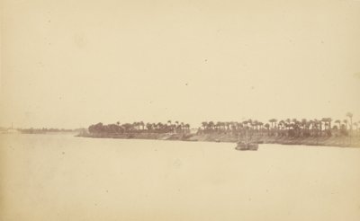 Sponde del Nilo con palme e barche da Théodule Devéria