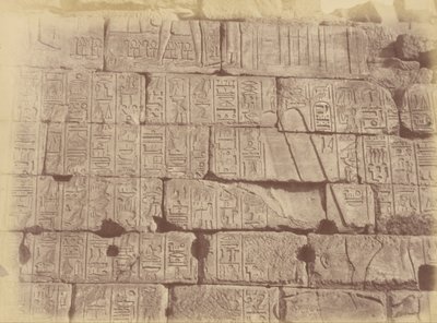 Vista ravvicinata di iscrizioni geroglifiche e sculture (Elenco delle nazioni sconfitte), Karnak da Théodule Devéria