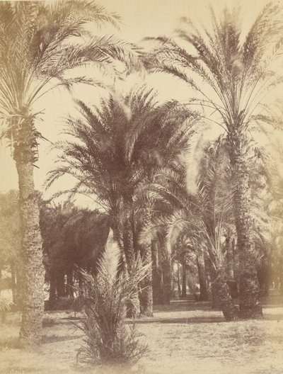 Gous da Théodule Devéria