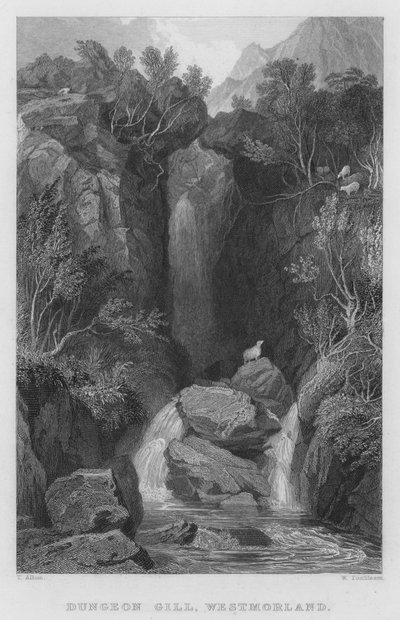 Dungeon Gill, Westmorland da Thomas (after) Allom