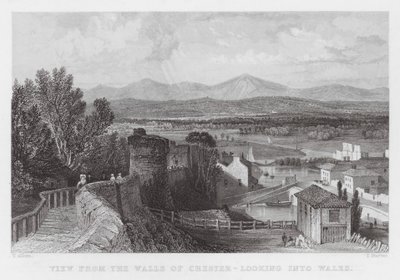 Vista dalle Mura di Chester, guardando verso il Galles (incisione) da Thomas (after) Allom