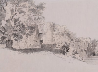Castello di Chepstow da Thomas (attr. to) Tudor