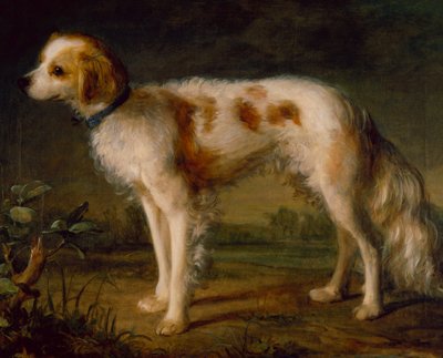 Un cane da caccia in un paesaggio da Thomas (circle of) Gainsborough