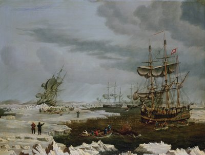 Baleniere di Hull nell