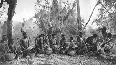 Donne native con cesti di carne di ippopotamo, Karoo, Sudafrica da Thomas A. Glover