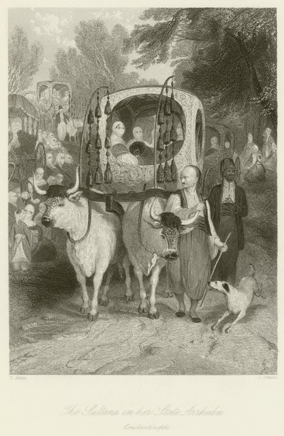 La Sultana nel suo Stato Arrhuba da Thomas Allom