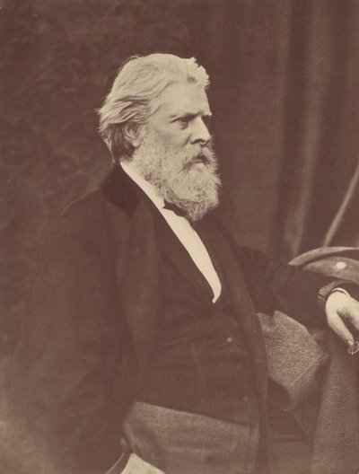 Ritratto di D.O. Hill, 1867, stampato ca. 1900 da Thomas Annan