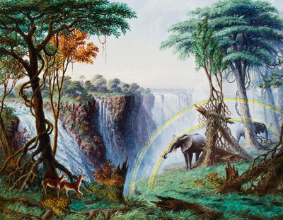 Il Mosi-O-A-Tunya da Thomas Baines
