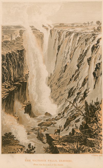 Le cascate Vittoria da Thomas Baines