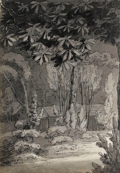 Vista attraverso gli alberi verso un edificio a un piano da Thomas Baxter
