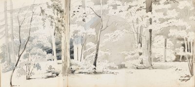 Un pergolato circondato da alberi da Thomas Baxter