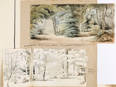 Parte dei terreni a Merton con un pergolato e alberi da Thomas Baxter