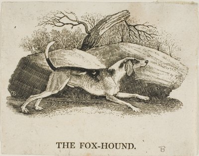 Segugio da Thomas Bewick