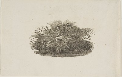 Finale: Uomo nel cespuglio da Thomas Bewick