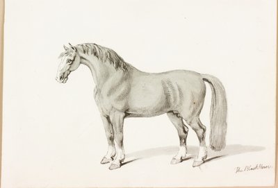 Il cavallo nero da Thomas Bewick
