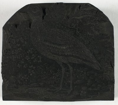 Tavola di Legno per Il Grande Piviere, da Una Storia degli Uccelli Britannici da Thomas Bewick