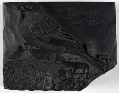  da Thomas Bewick