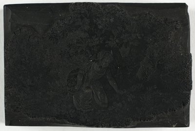 Tavola di legno per donna che raccoglie fiori da Thomas Bewick