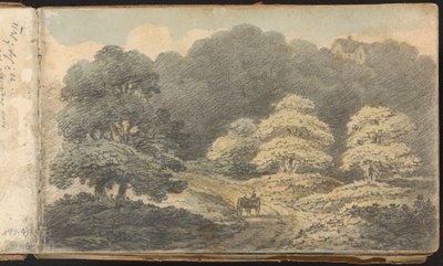Album di Studi di Paesaggi e Figure: Scena di Paesaggio con Cavallo e Carro vicino a Tunbridge Wells da Thomas Bradshaw